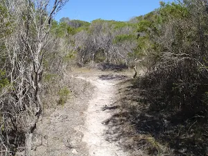 Kangarutha Track north of White Rock