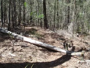 Log across the track