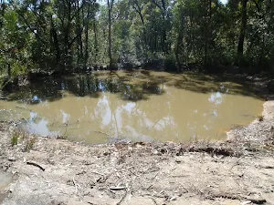 Pool beside The Oaks Fire Trail