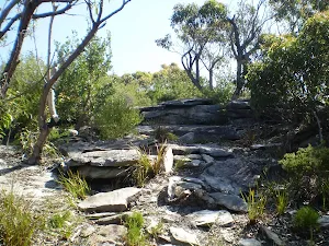 following the coast track