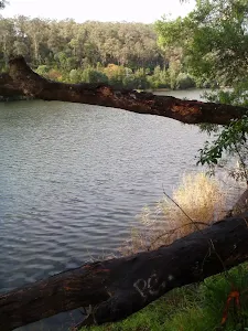 Nepean River