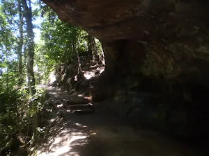Track under rock overhang
