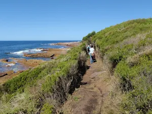 Walking north of Shelley Beach