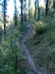 Grose River track