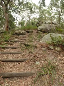 Steps on Graves Walk