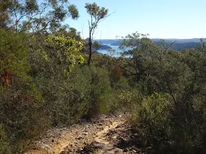Glimpses of a distant Cowan Waters