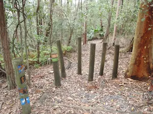 Posts to stop horse