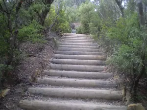 Stairs up to Wentworth Falls Lookout