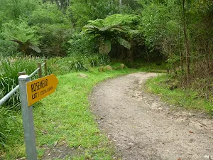 Rosemead Trail