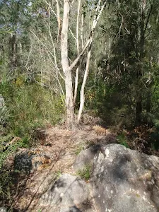 Track up from creek flats