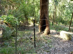 Fence line beside GNW walkers register
