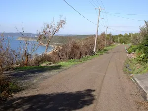 The Scenic Rd