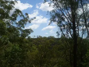 View from the track
