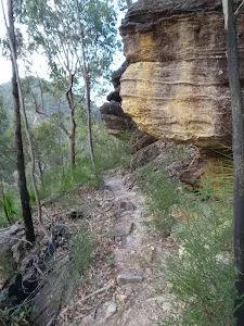 Track up to Bunyan Lookout
