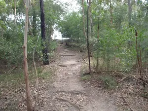 path up to thornliegh oval