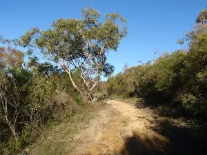 Along the Topham track