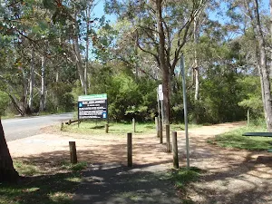 Start of the Cliff View Lookout path