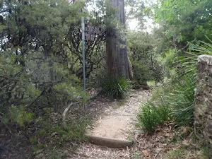 On Prince Henry Cliff walk