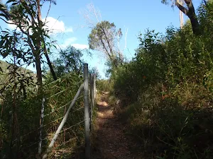 Fence behind Magazine Buildings
