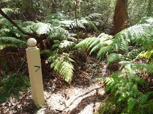 Arrow marker on Manly Scenic Walkway