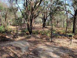 At the end of Dolly Ave