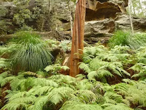 Pleasent cool gully south of small waterfall