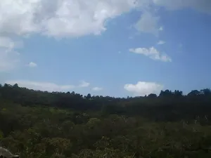 Looking across the valley to Valley Rd