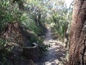 track west of Breakfast Point Lookout