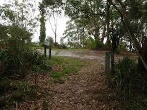 Looking up from the Southern end of Guringai walk