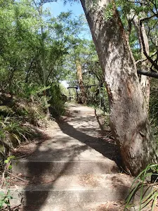 Reids Plateau