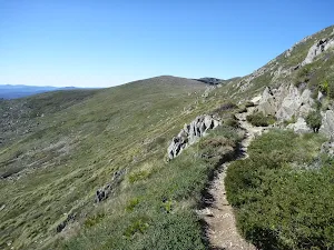 Narrow track above Albina Lake