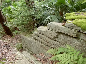 Cleft on Rock on Stockyard Spur track