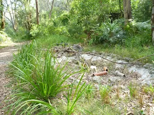 Concrete dam on the Galgabba Point walk