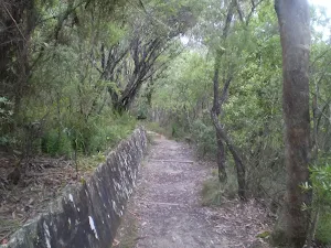 Walled Shortcut Track