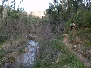 Track on hillside above Grose River