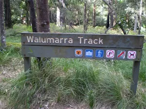 At Int of Lady Carrington Drive and Walllamarra Bushtrack
