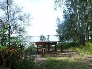 Picnic table on the Galgabba Point walk near Swansea