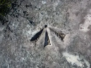 Aboriginal Engaving close to Elvina track