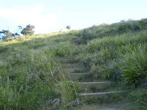 Track across headland