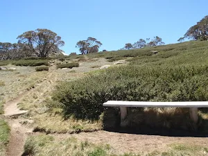 Upper Rest area seat