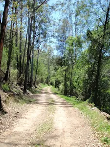 Old Ten Mile Hollow Rd