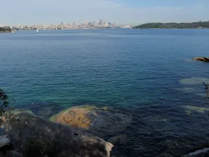 Steele Point Lookout