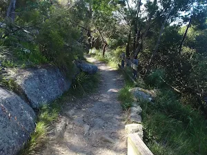 creekside bushtrack