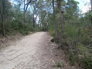 Service out of Lane Cove Valley