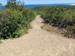 Ocean vew from the northern end of Geebung Track