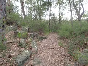 Track down to Lawsons Lookout