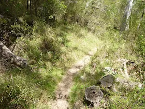 Narrow Six Foot Track winding down the side of the valley