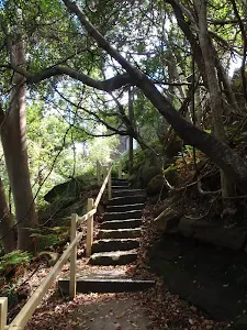 Climbing up and away from the bay