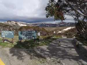 Looking across the Main Range Track from Charlotte Pass