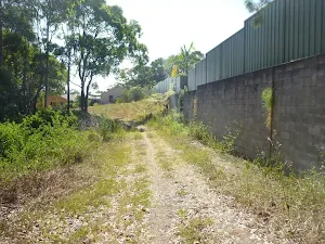 Houses next to a fire trail in Green Point Reserve